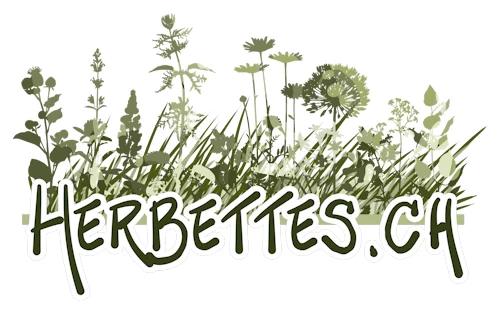 Logo Herbettess