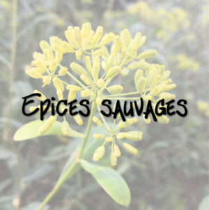 Epices sauvages